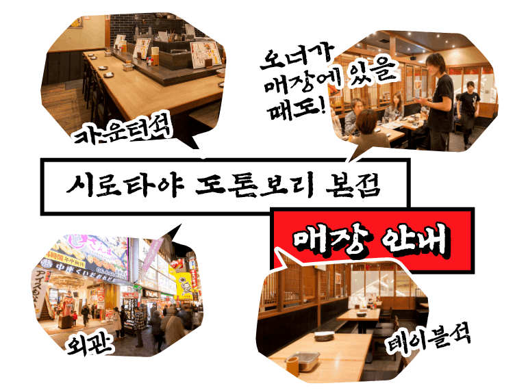 시로타야 도톤보리 본점 매장 안내